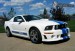 [obrazky.4ever.sk] auto, Roush, ford mustang gt 8938272.jpg